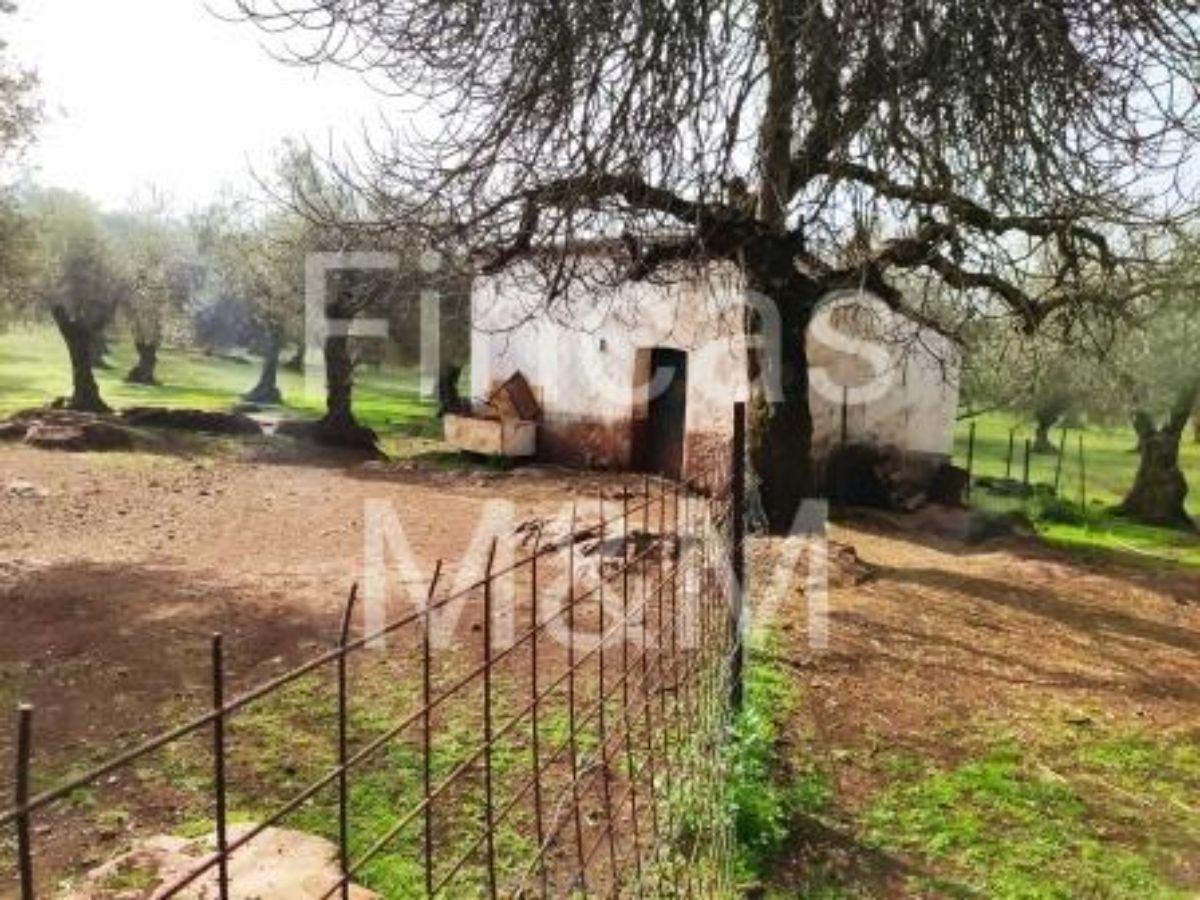 Venta de finca rústica en Fuentes de León