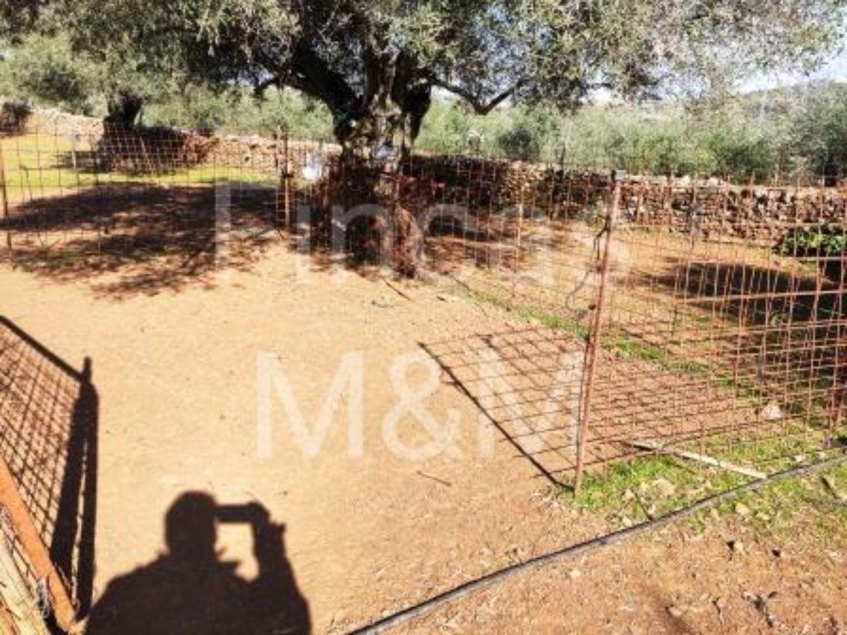 Venta de finca rústica en Segura de León