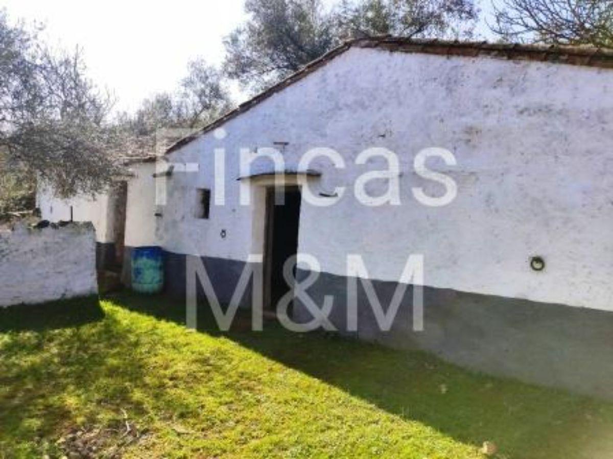 For sale of rural property in Segura de León