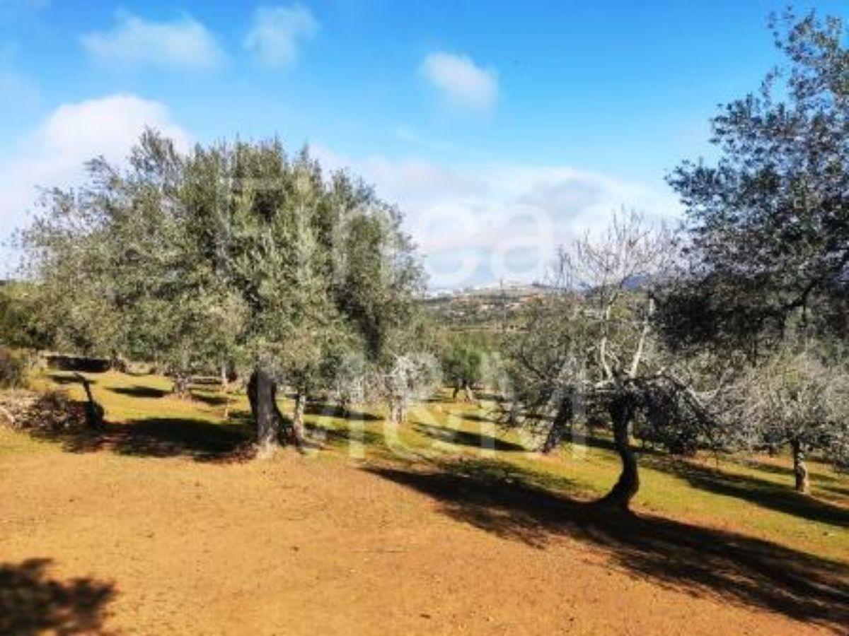 Venta de finca rústica en Segura de León