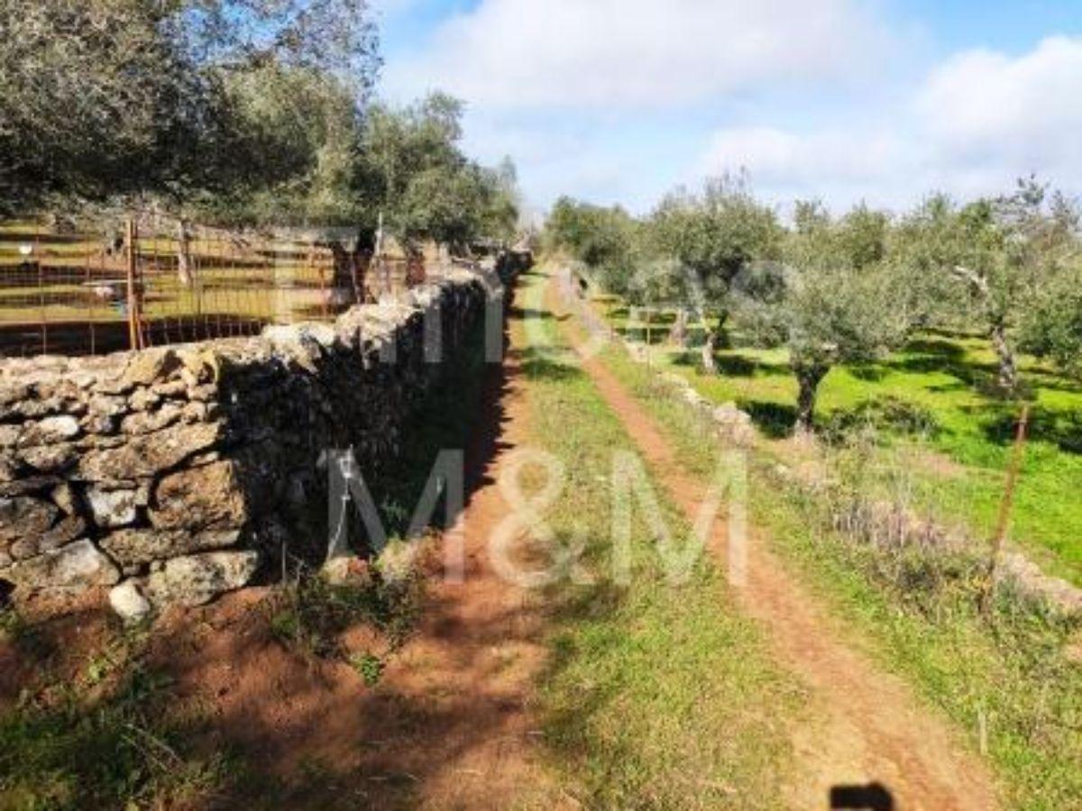 Venta de finca rústica en Segura de León