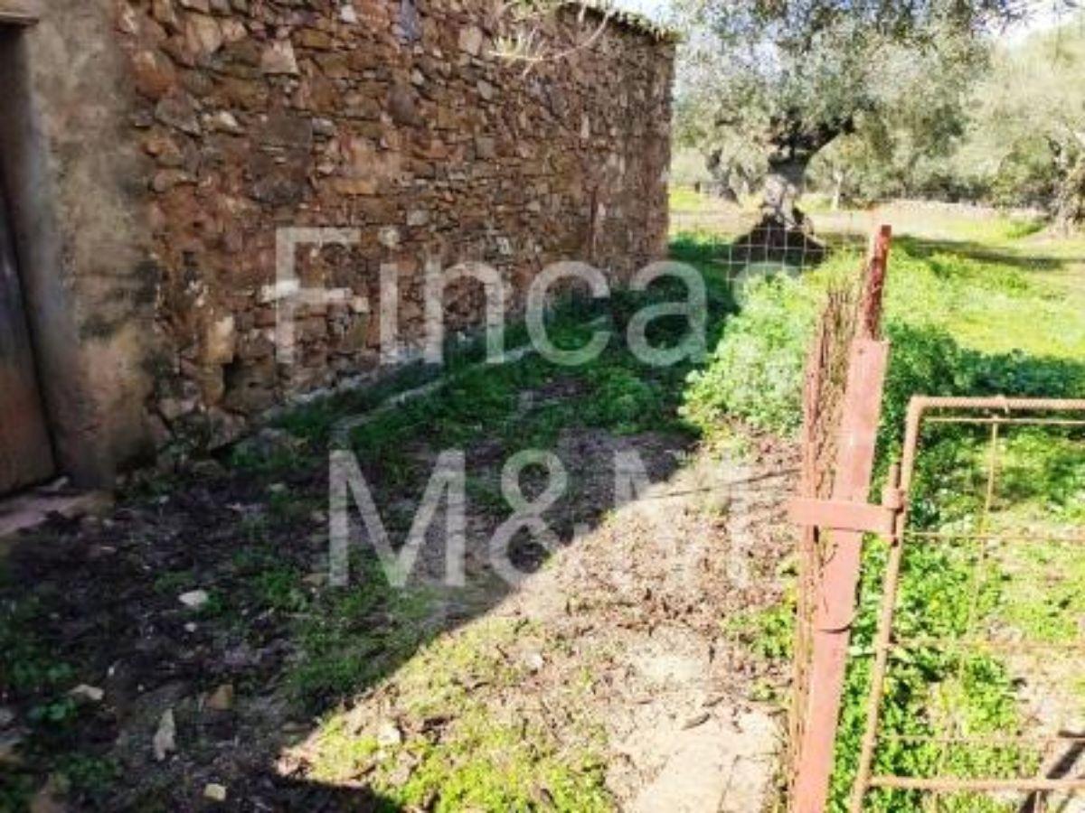 Venta de finca rústica en Fuentes de León