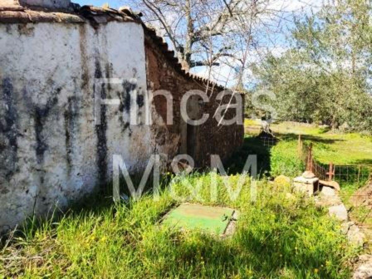 For sale of rural property in Fuentes de León