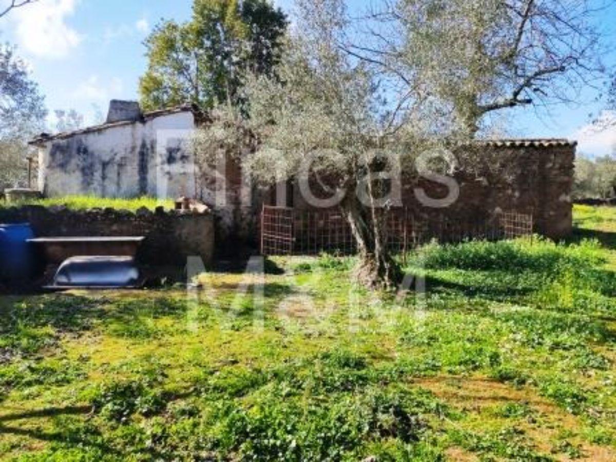 For sale of rural property in Fuentes de León