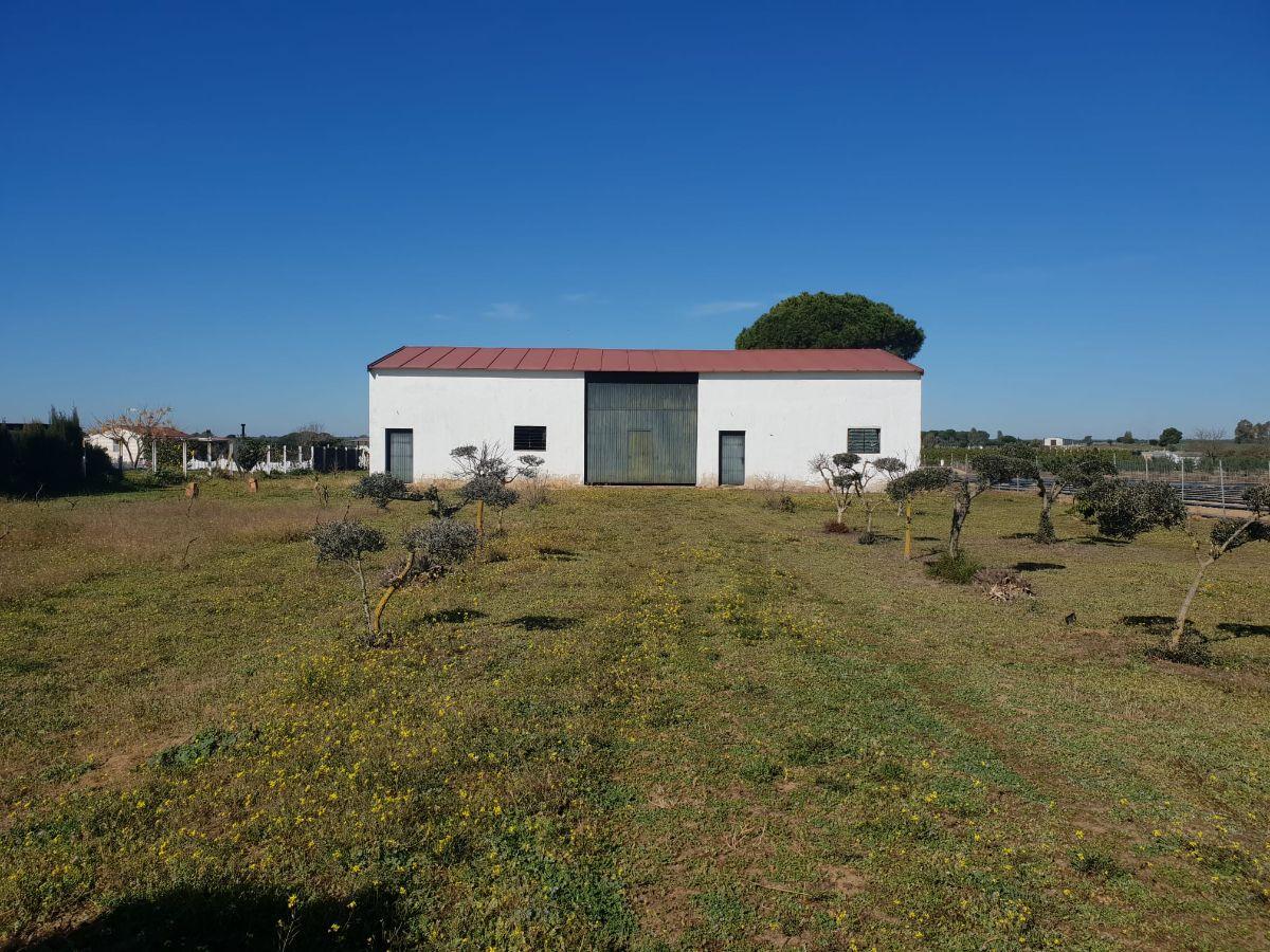 For sale of land in Villamanrique de la Condesa