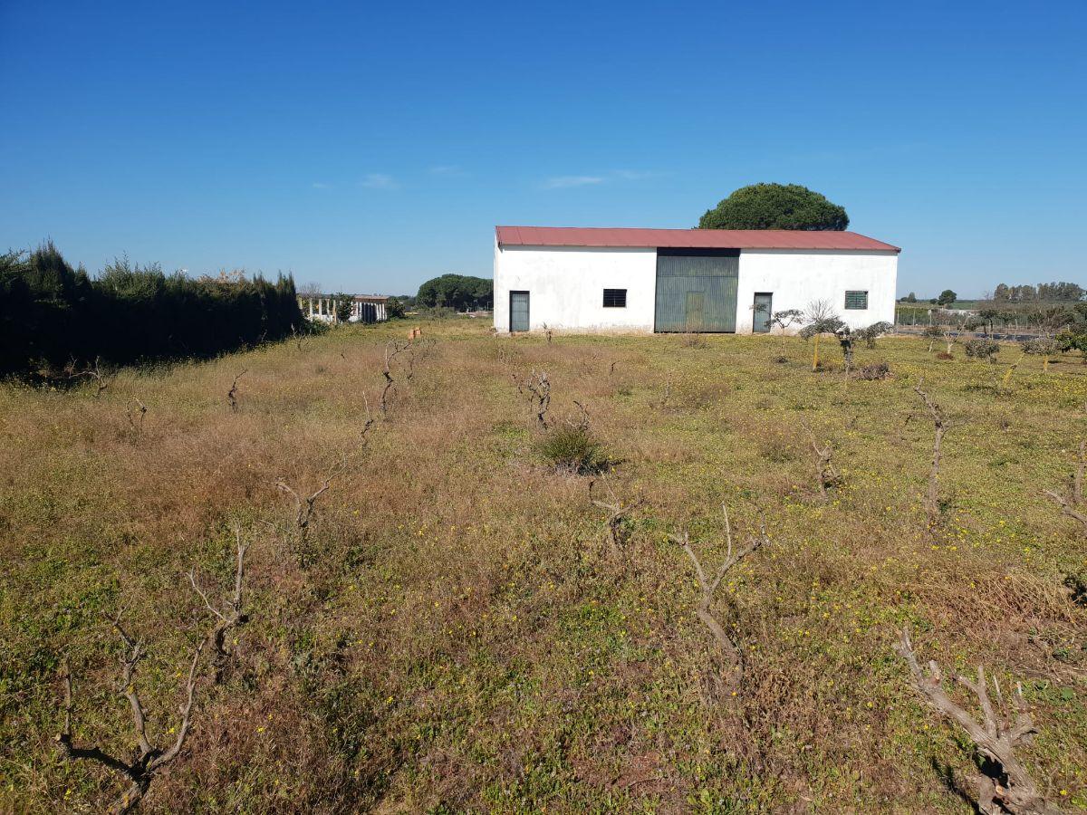 For sale of land in Villamanrique de la Condesa