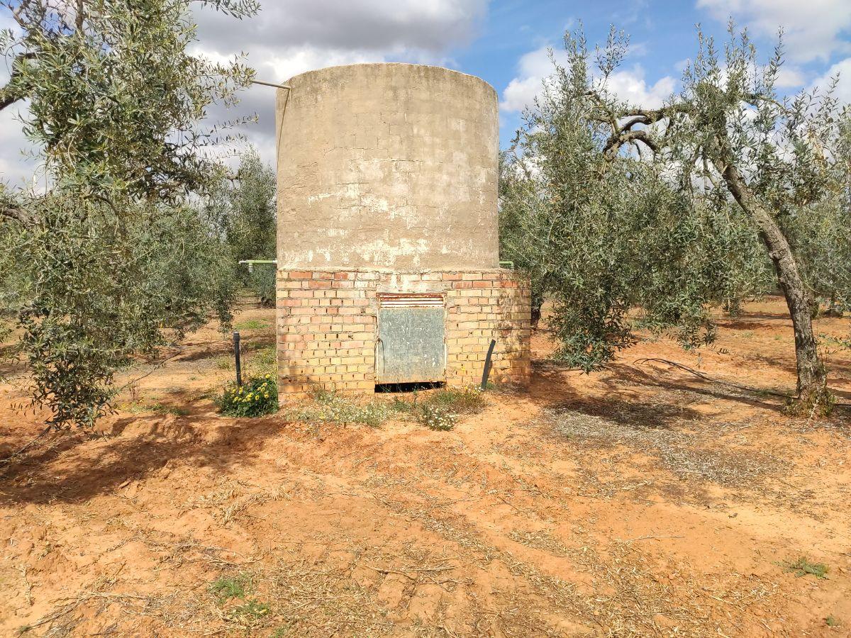 For sale of rural property in Pilas