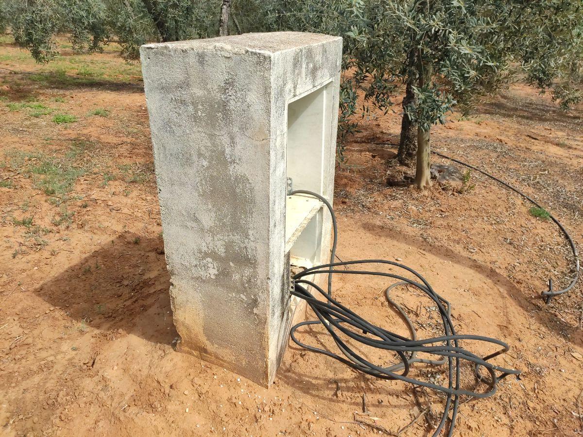 Venta de finca rústica en Pilas Venta de finca rústica en Pilas