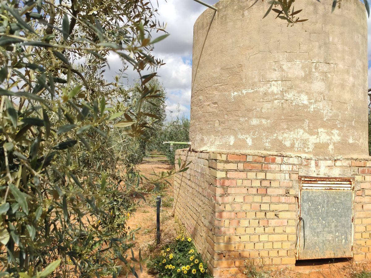 Venta de finca rústica en Pilas Venta de finca rústica en Pilas