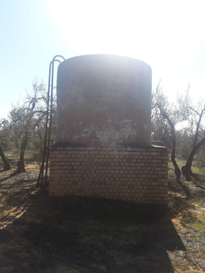 Venta de finca rústica en Pilas Venta de finca rústica en Pilas