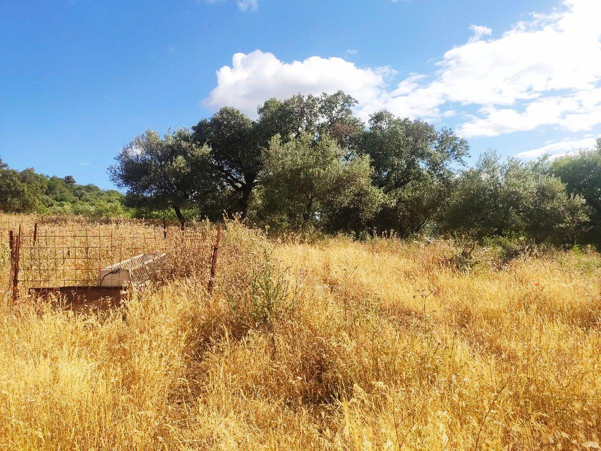 For sale of rural property in Fuentes de León