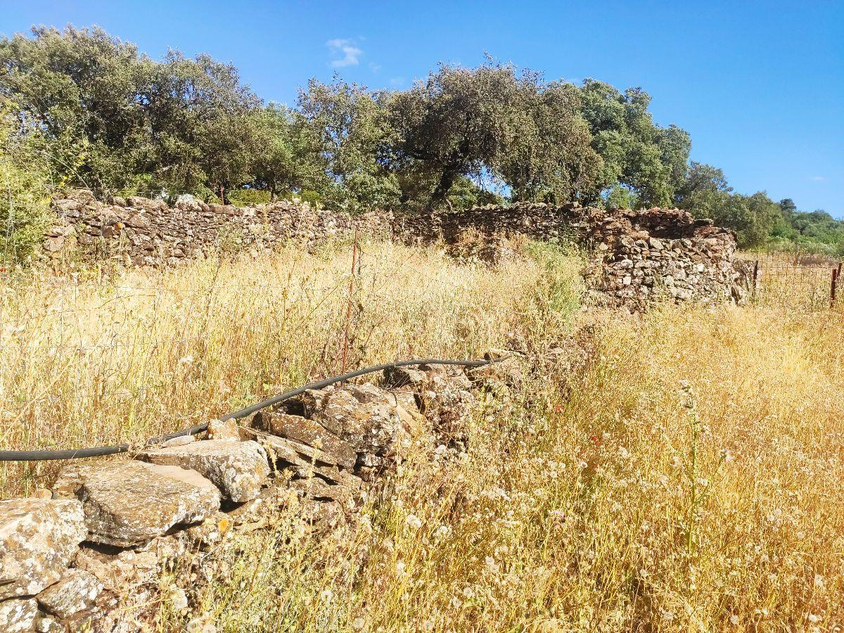 For sale of rural property in Fuentes de León