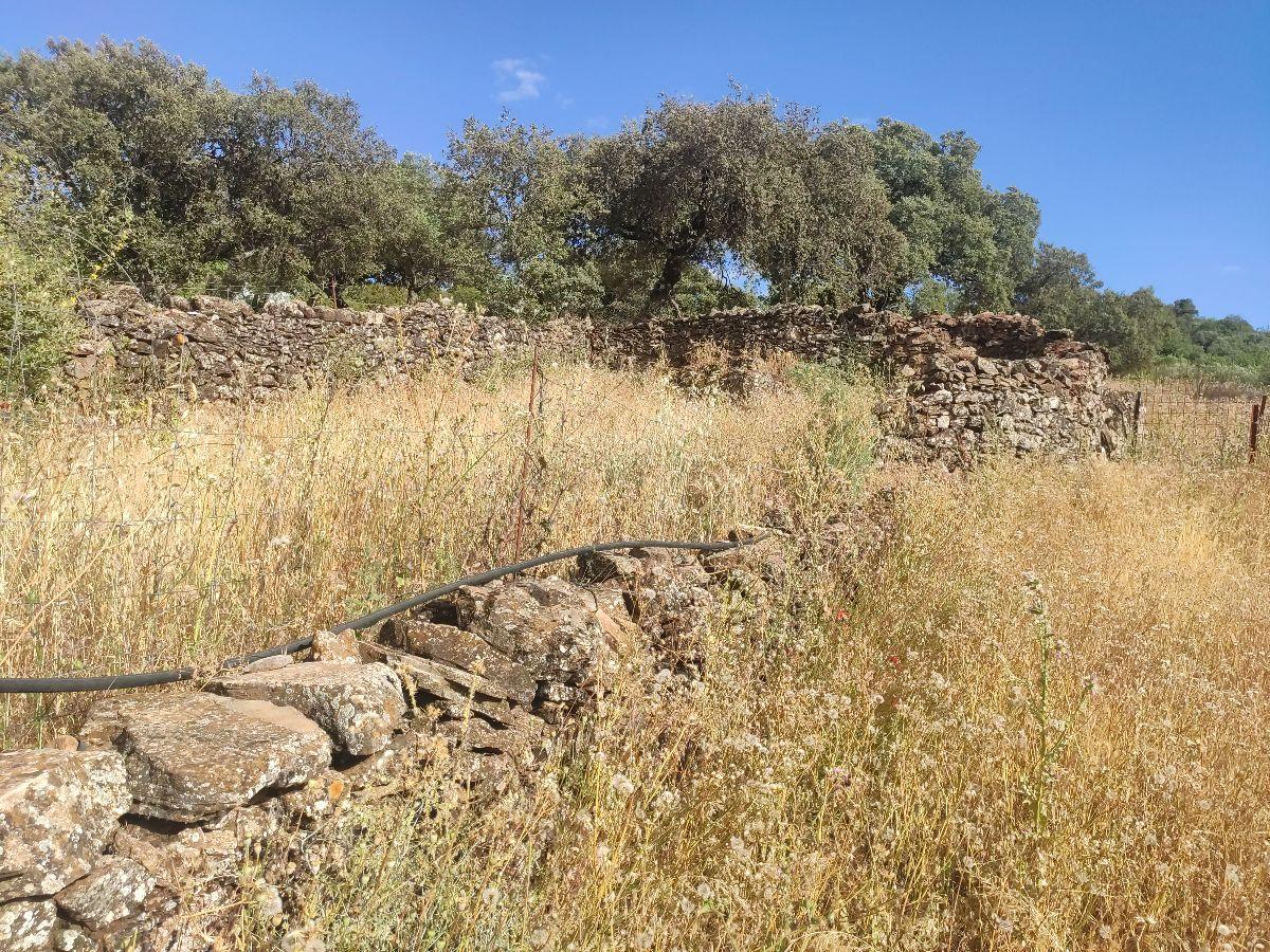 For sale of rural property in Fuentes de León