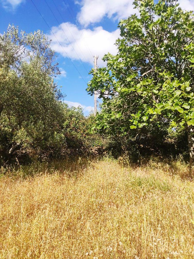For sale of rural property in Fuentes de León