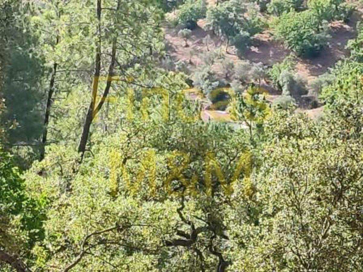 For sale of rural property in Galaroza