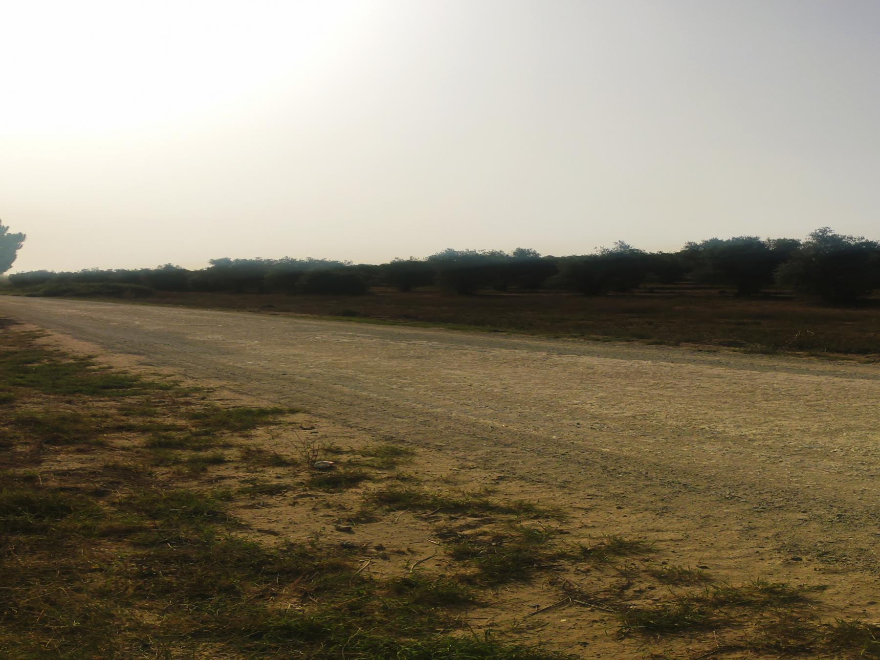 For sale of rural property in Villamanrique de la Condesa