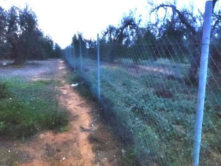 Venta de finca rústica en Pilas Venta de finca rústica en Pilas