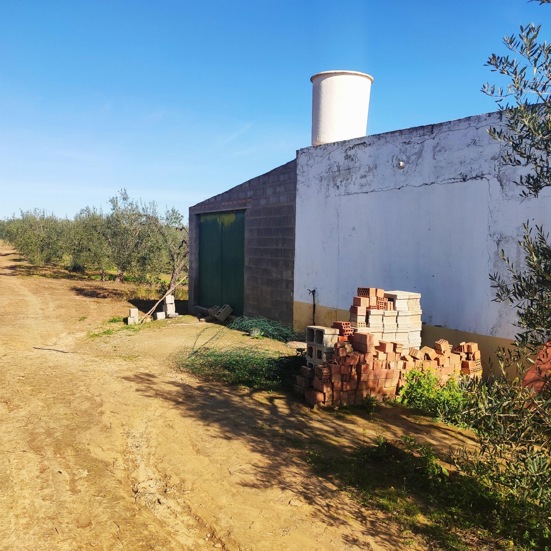 Venta de finca rústica en Bollullos de la Mitación