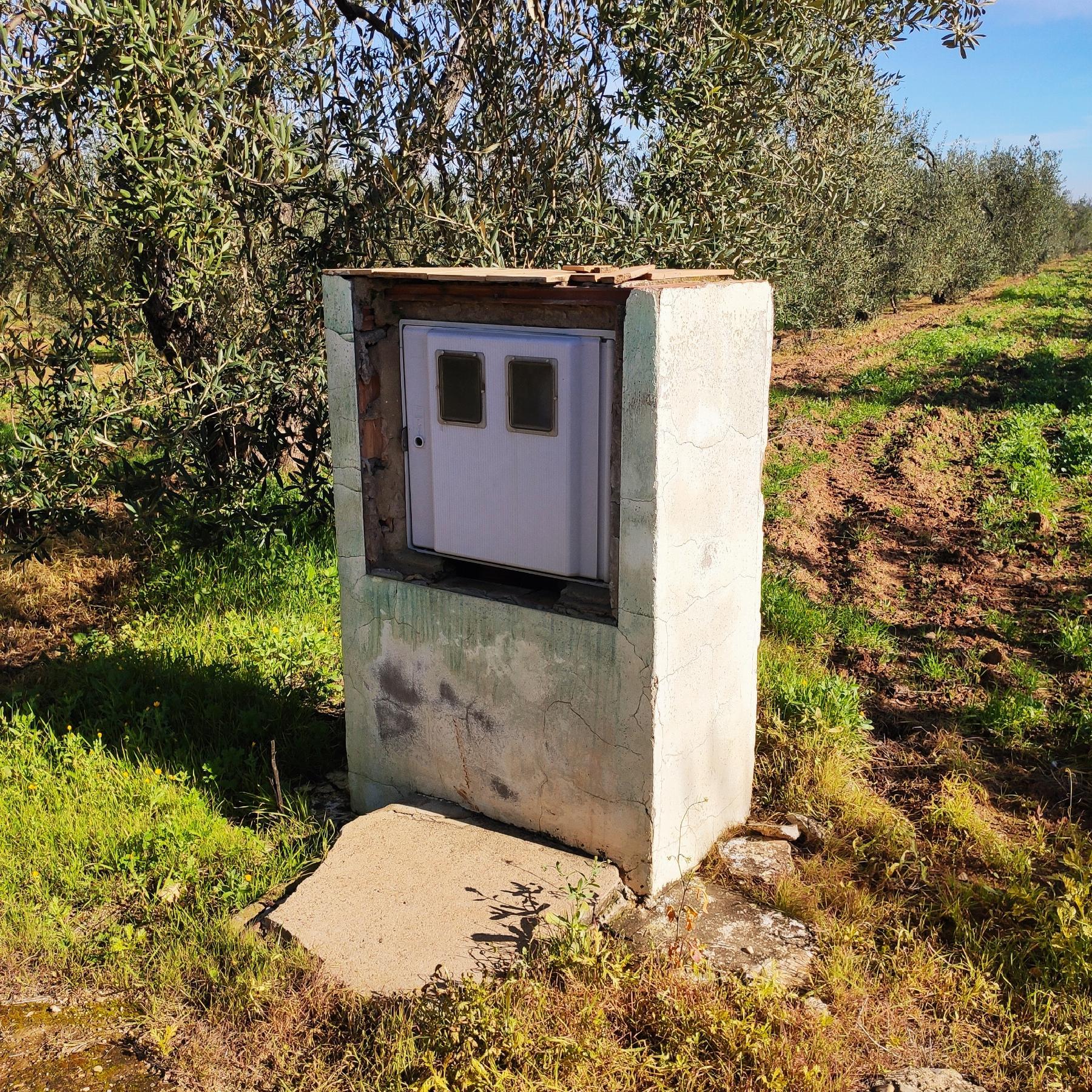 Venta de finca rústica en Bollullos de la Mitación Venta de finca rústica en Bollullos de la Mitación