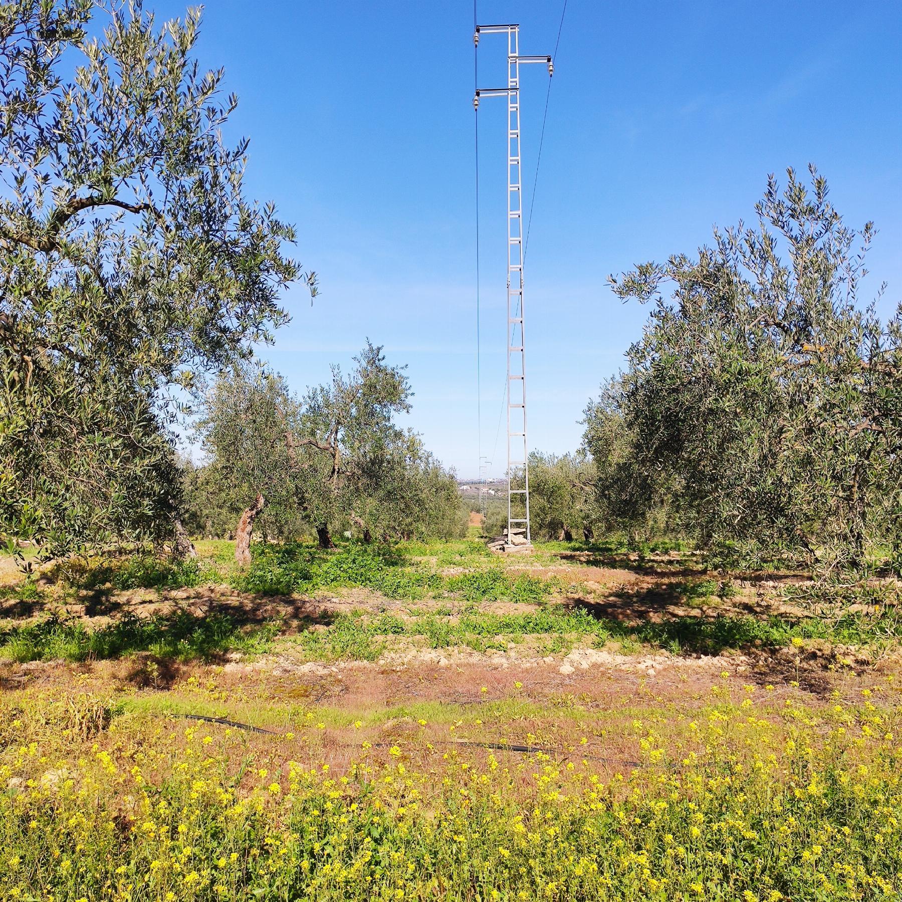 For sale of rural property in Bollullos de la Mitación