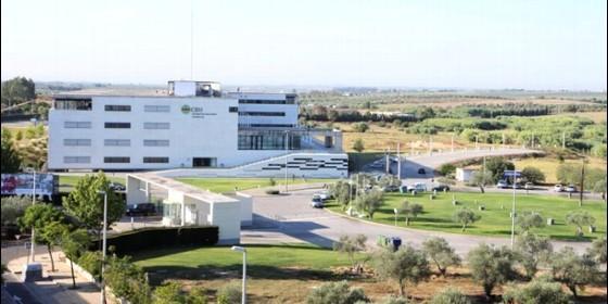 For rent of flat in Bormujos