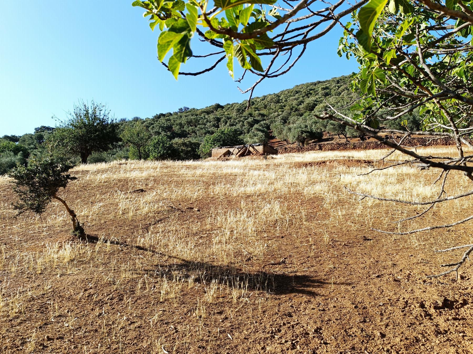 For sale of rural property in Fuentes de León