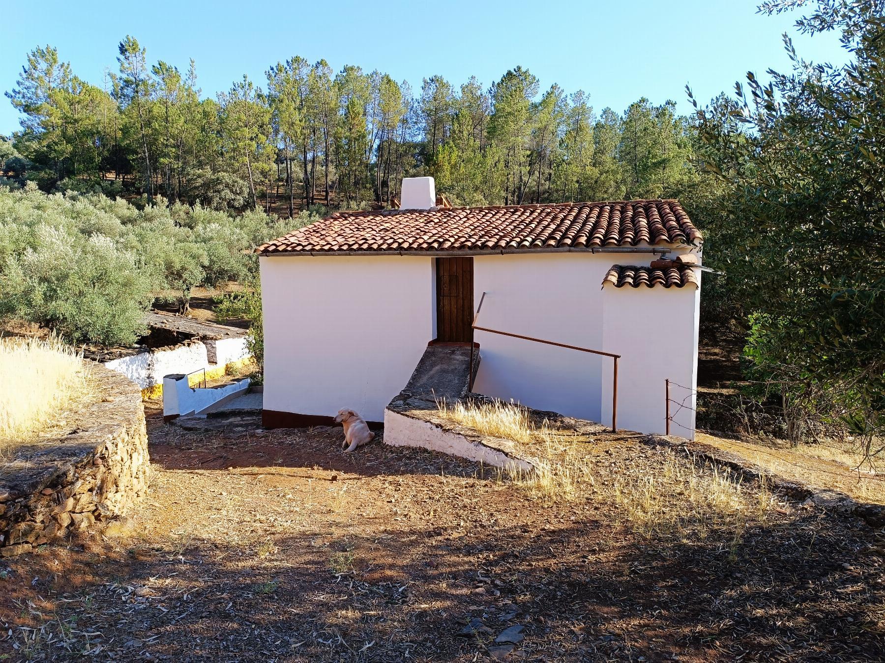 For sale of rural property in Fuentes de León