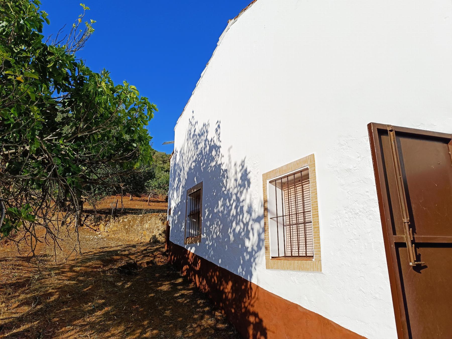 For sale of rural property in Fuentes de León