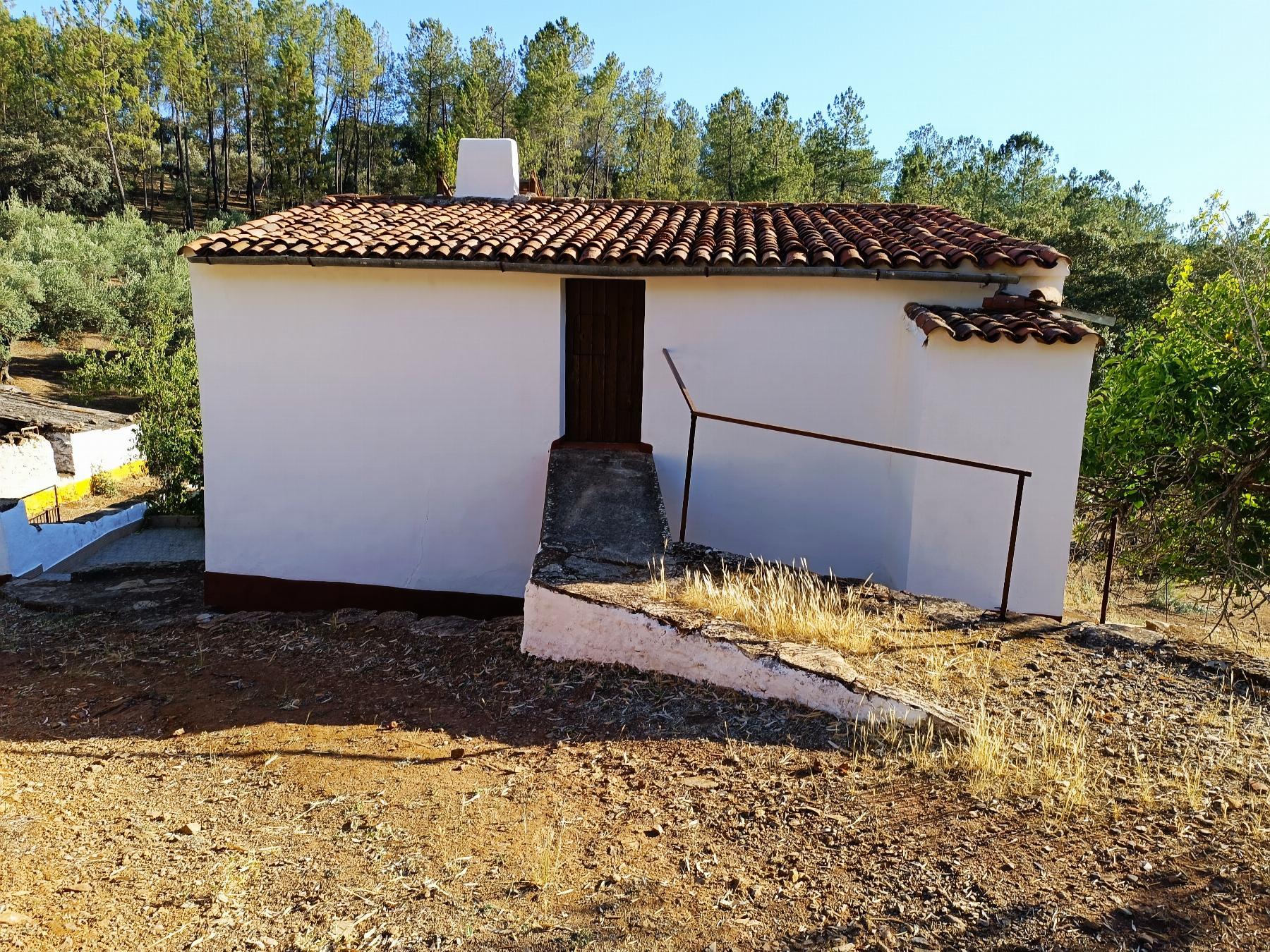 Venta de finca rústica en Fuentes de León