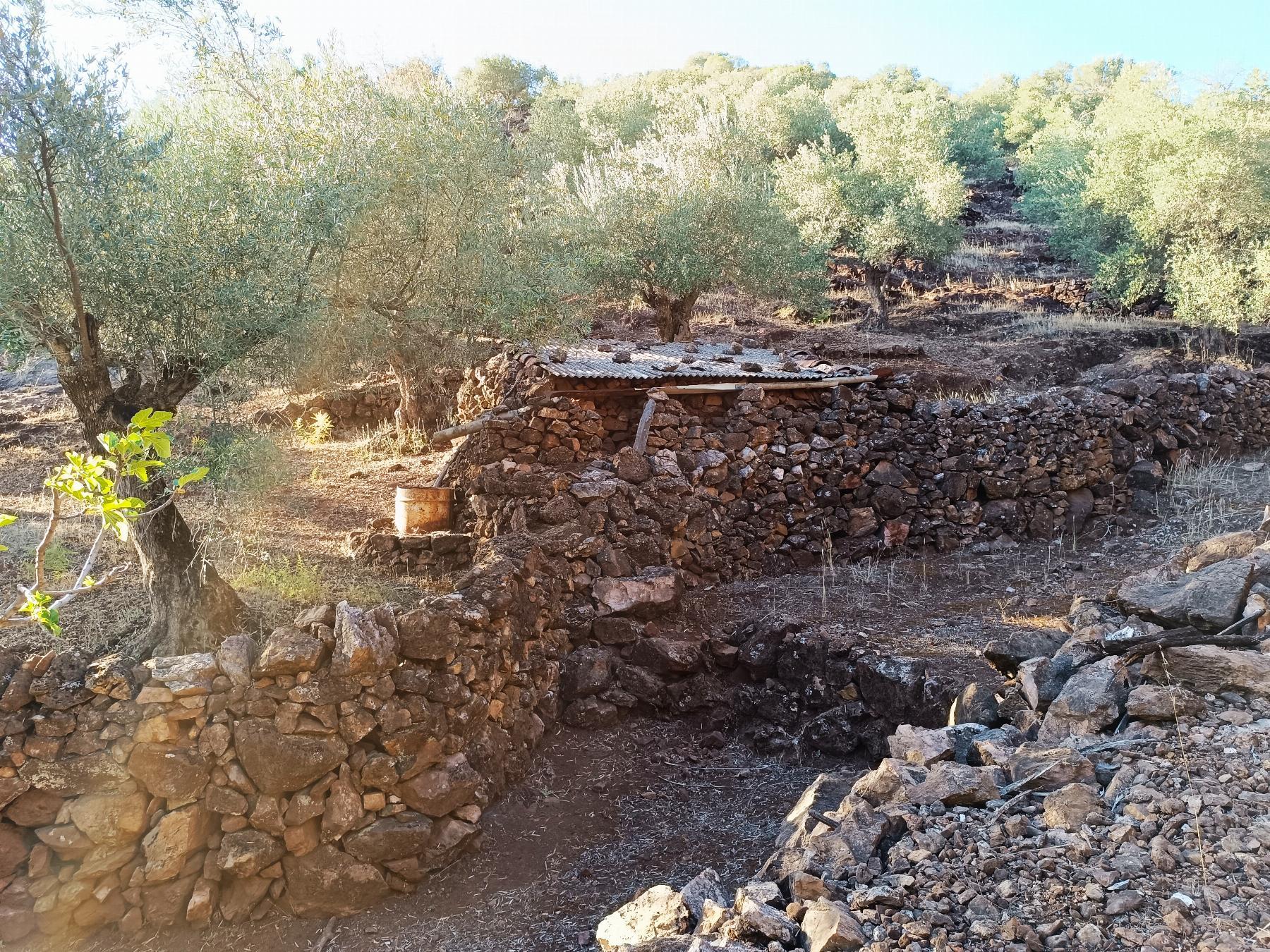 Venta de finca rústica en Fuentes de León