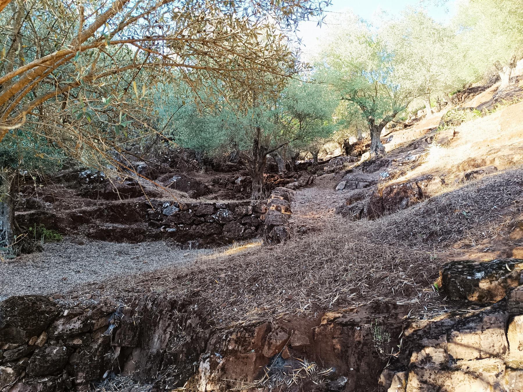 Venta de finca rústica en Fuentes de León