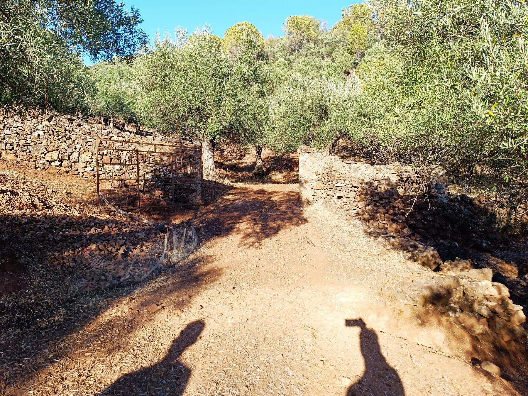 Venta de finca rústica en Fuentes de León