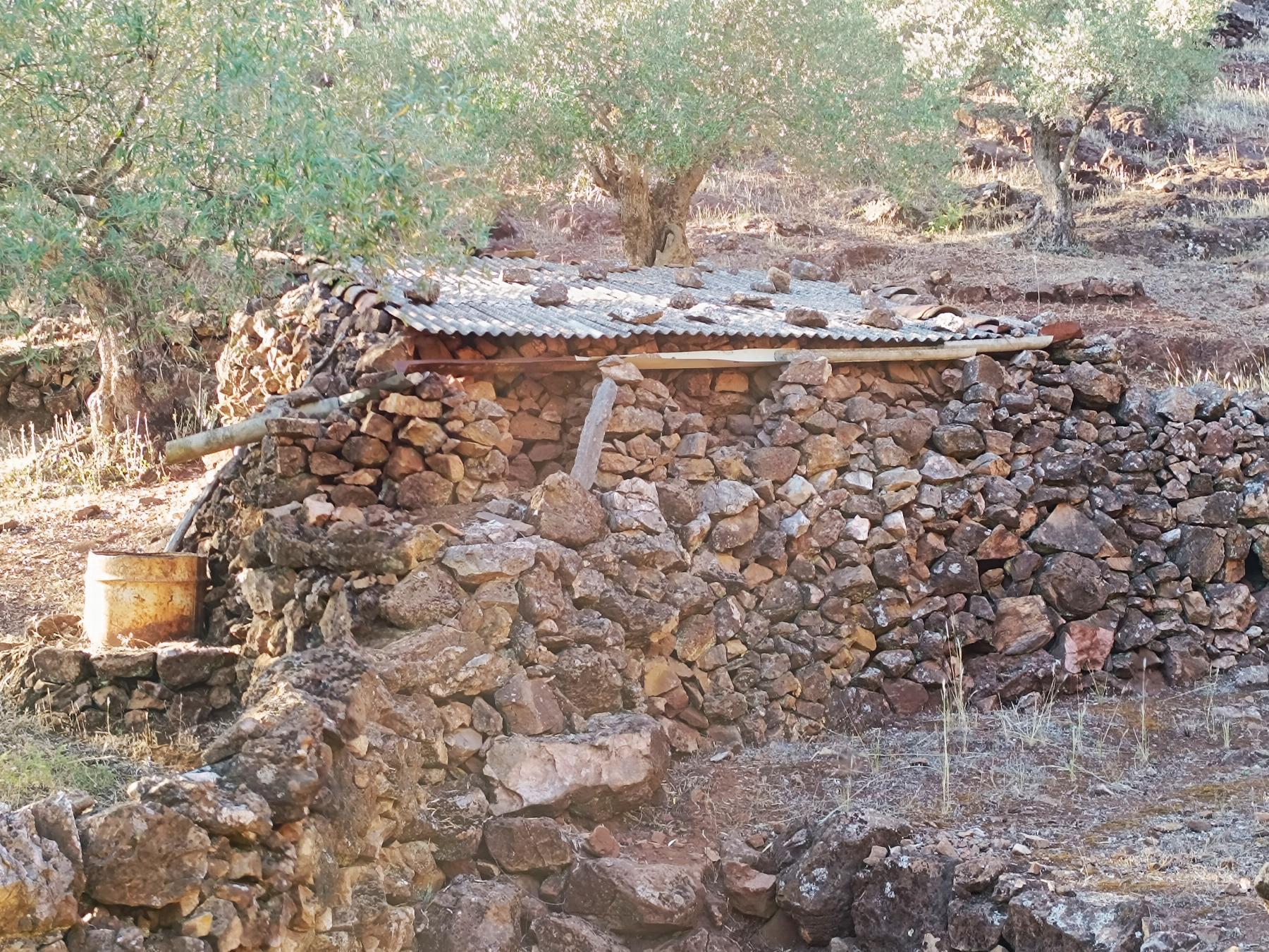 Venta de finca rústica en Fuentes de León