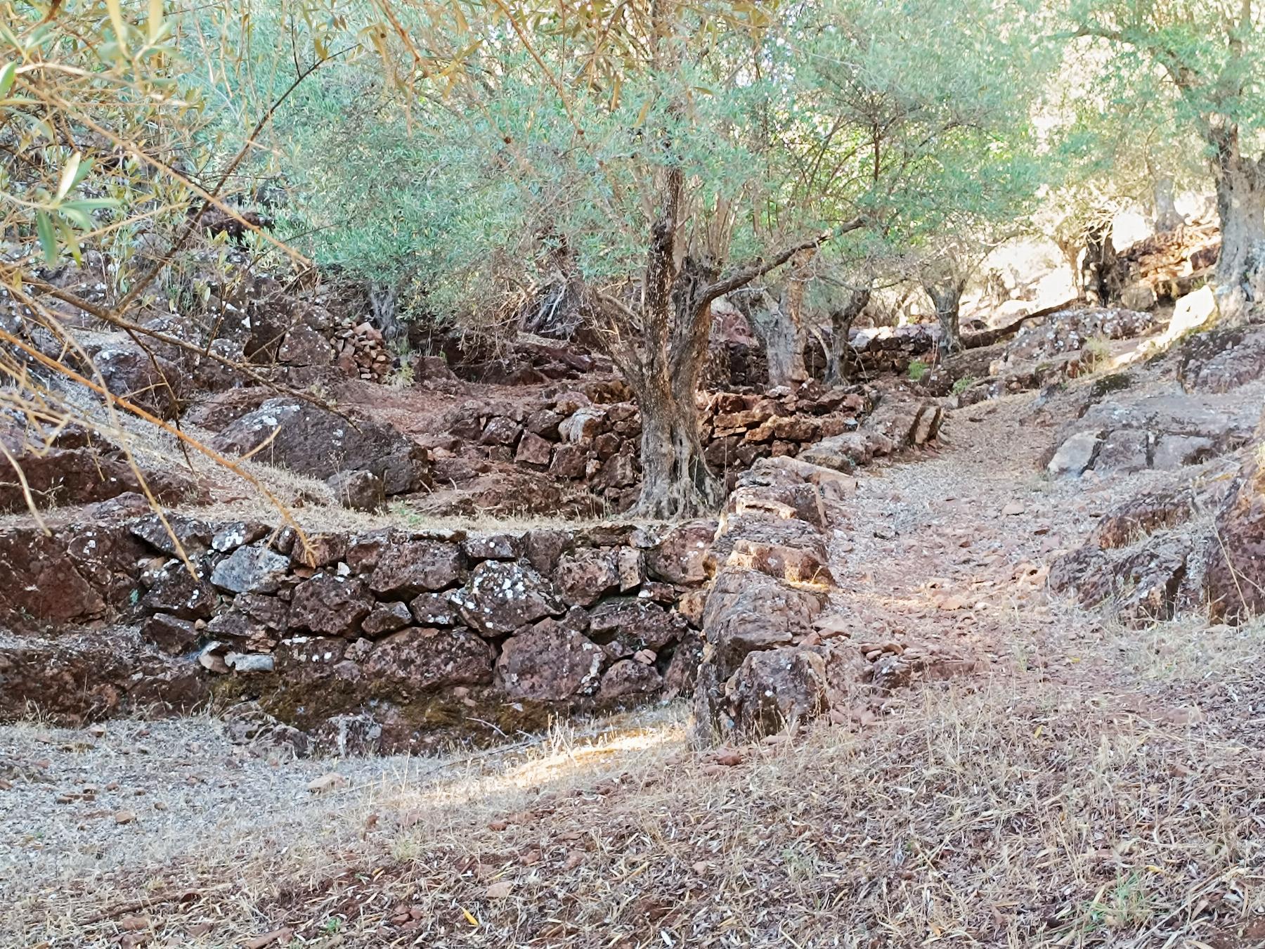 Venta de finca rústica en Fuentes de León