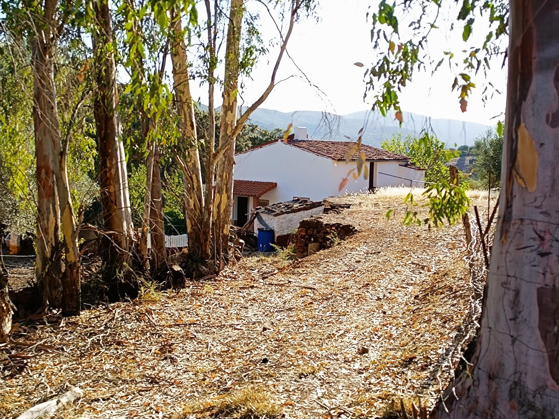 Venta de finca rústica en Fuentes de León