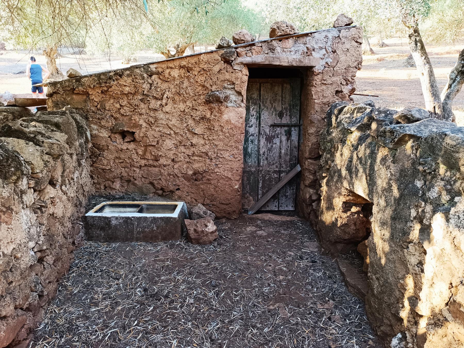 Venta de finca rústica en Fuentes de León