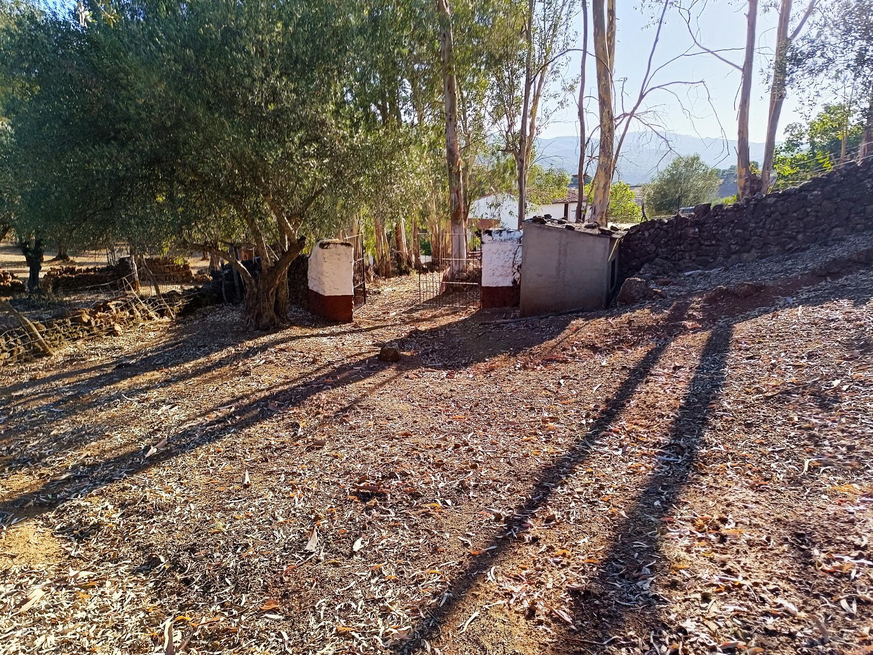 Venta de finca rústica en Fuentes de León