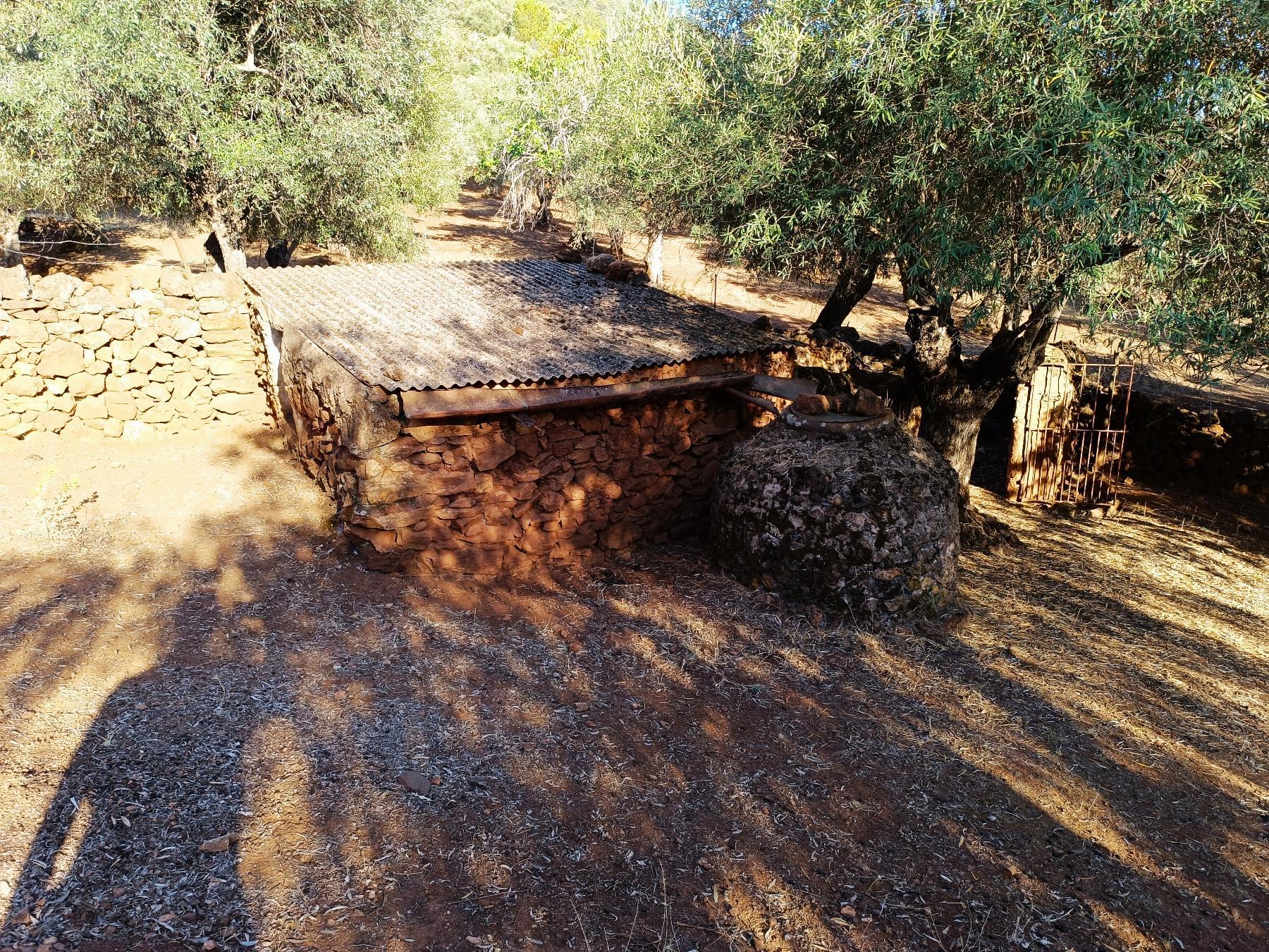 Venta de finca rústica en Fuentes de León