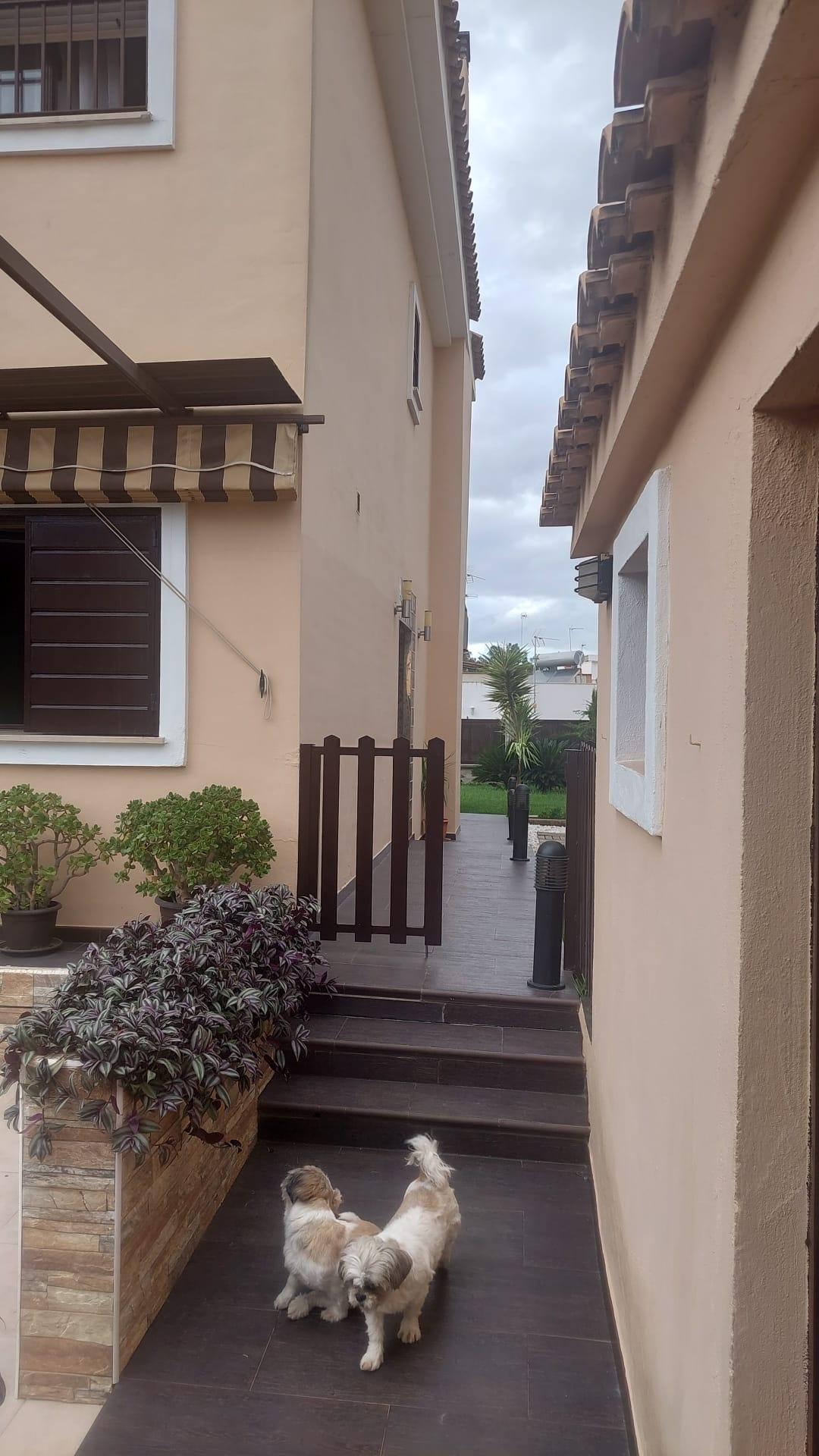 For sale of chalet in Coria del Río