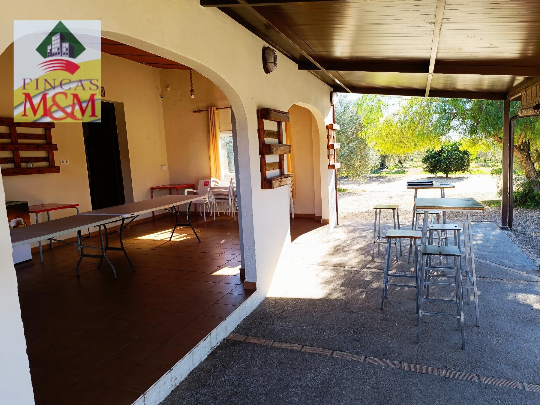 Venta de finca rústica en Benacazón