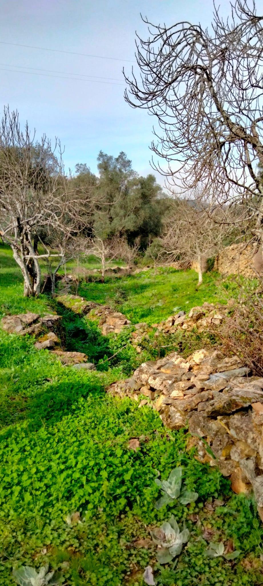 Venta de finca rústica en Cabeza la Vaca