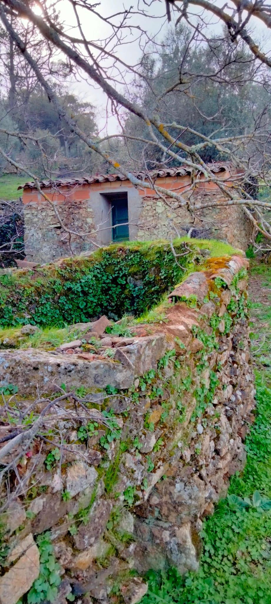 Finca en venta en Cabeza la Vaca, Cabeza la Vaca