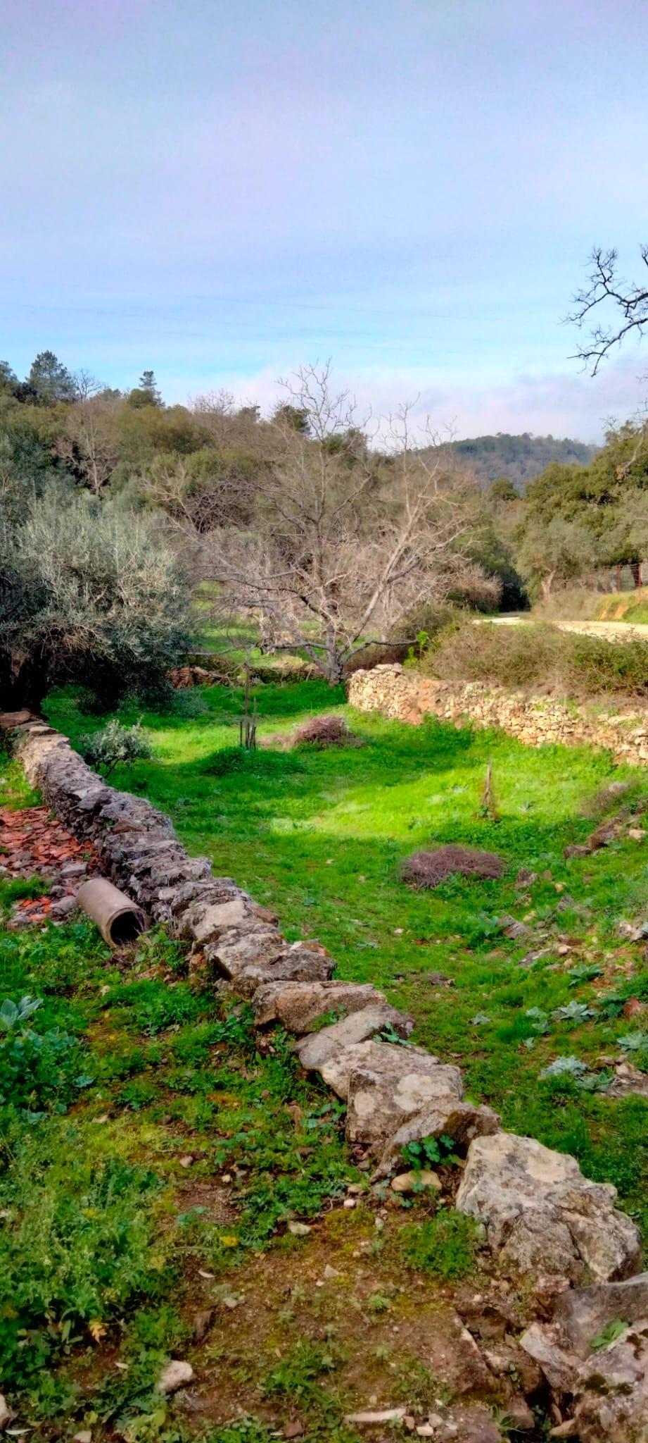 Venta de finca rústica en Cabeza la Vaca