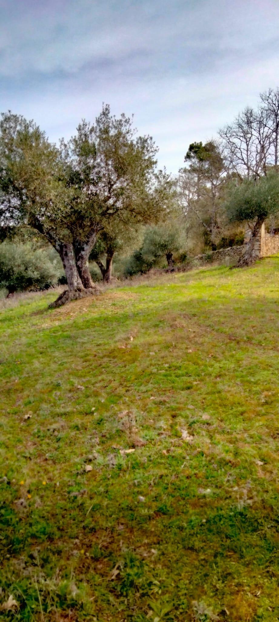 Venta de finca rústica en Cabeza la Vaca