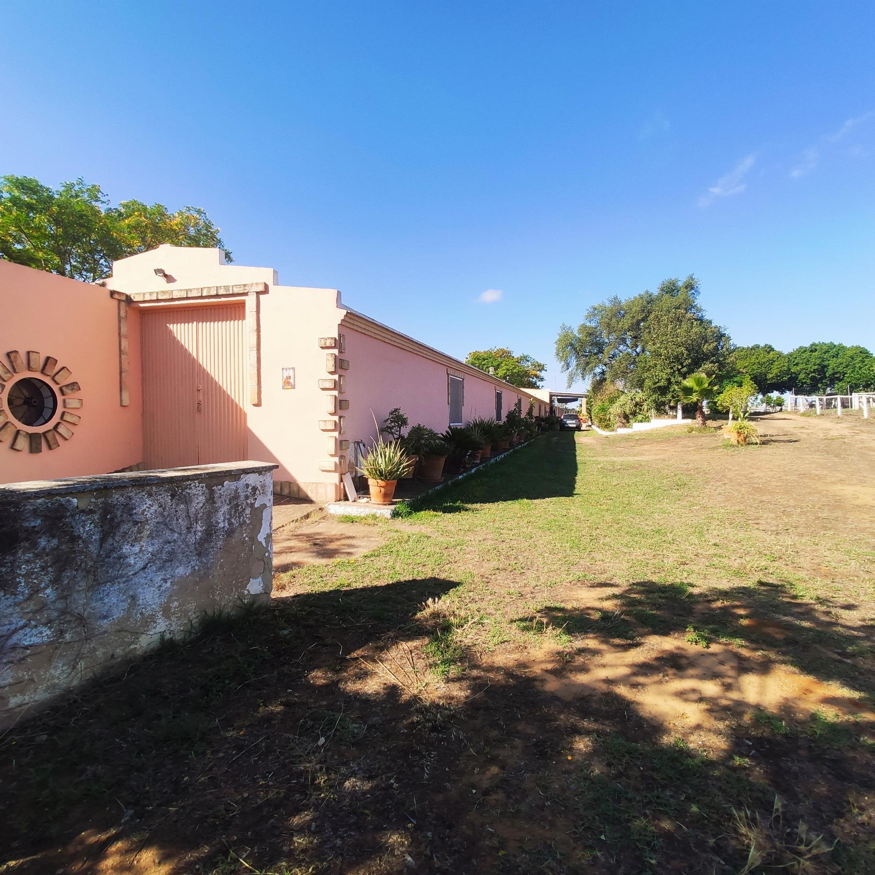 For sale of rural property in Huévar del Aljarafe