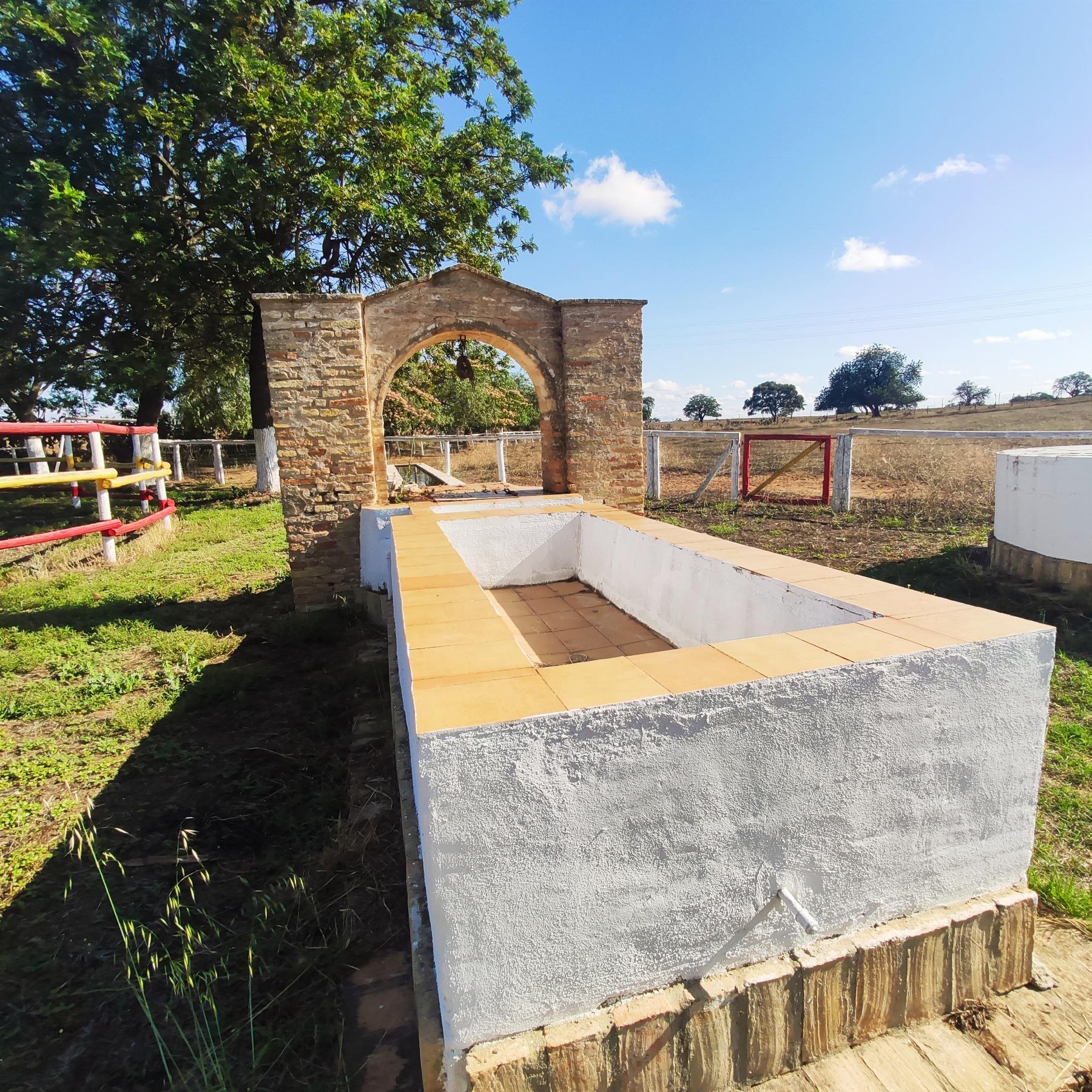 For sale of rural property in Huévar del Aljarafe