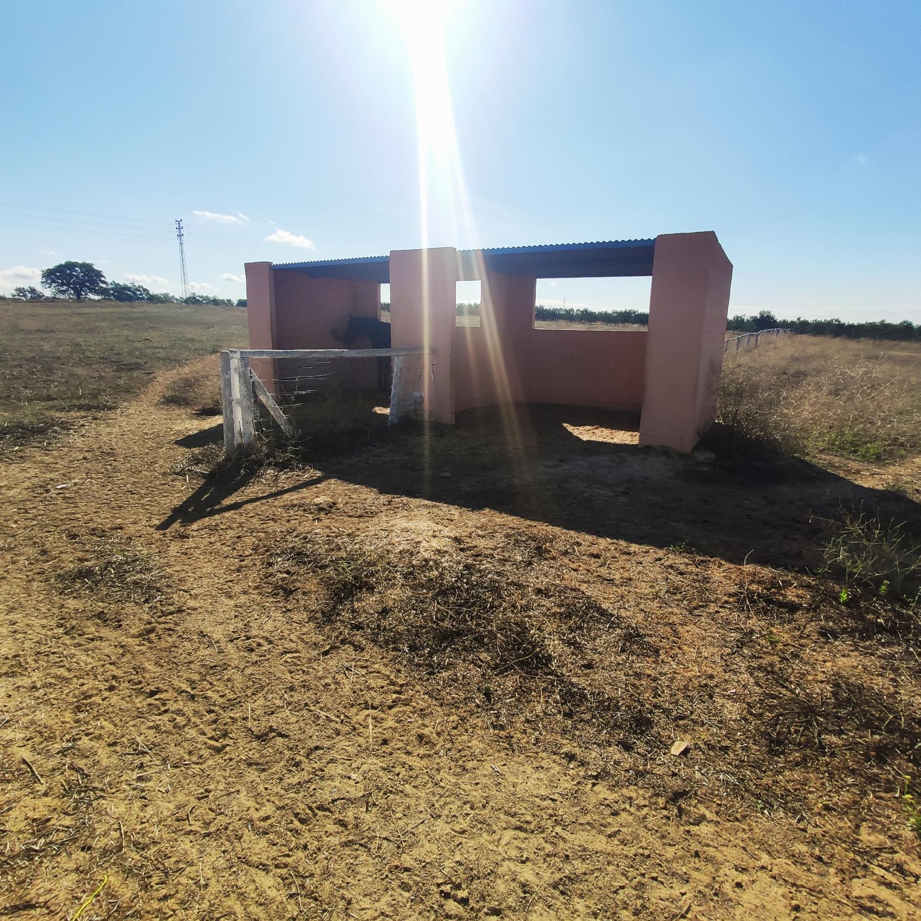 For sale of rural property in Huévar del Aljarafe