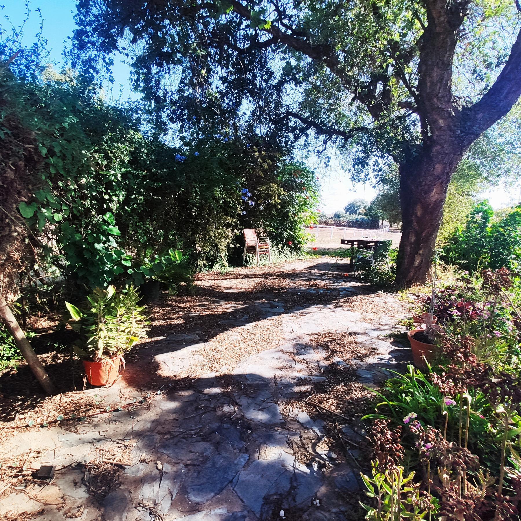 For sale of rural property in Huévar del Aljarafe