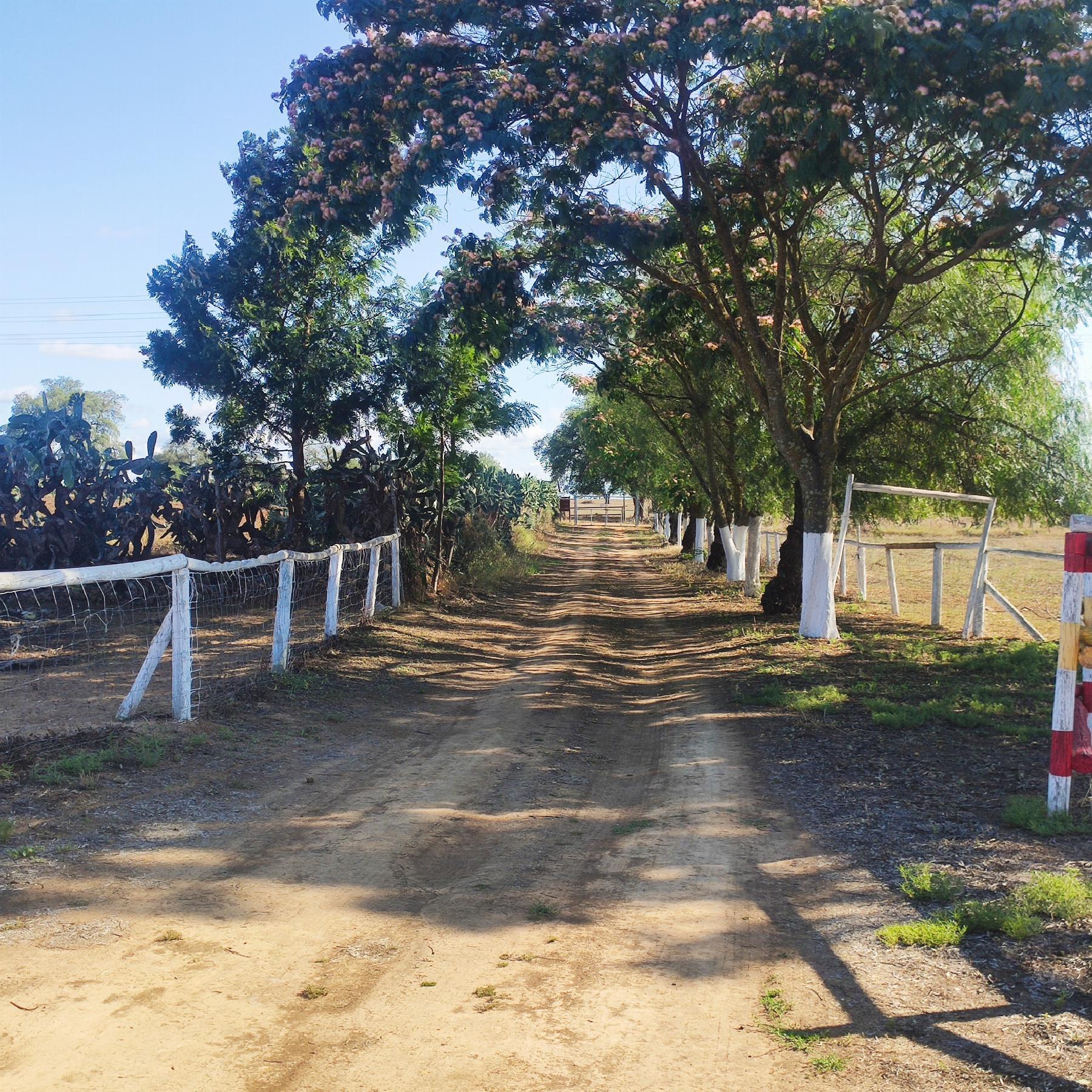 For sale of rural property in Huévar del Aljarafe