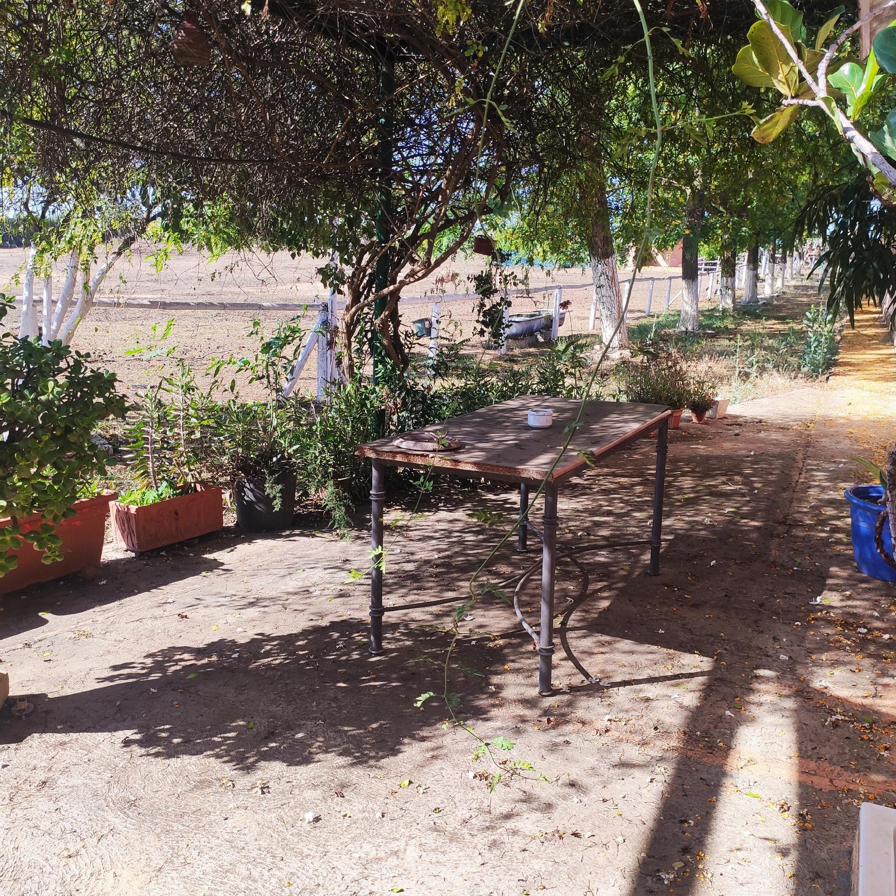 For sale of rural property in Huévar del Aljarafe